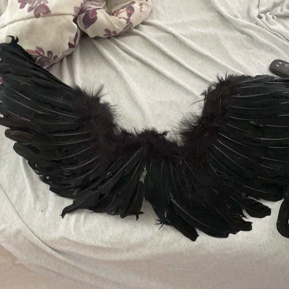 Halloween black angel wings